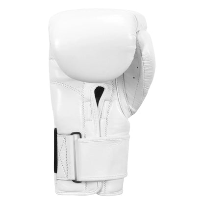 TITLE Boxing Ko-Vert Bag Boxing Gloves